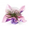 Bouquet bulle 7 tiges - collection bi-couleur Parme/Rose