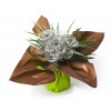 Bouquet bulle 7 tiges - collection bi-couleur Vert Anis/Chocolat