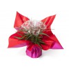 Bouquet bulle 7 tiges - collection bi-couleur Fuchsia/Rouge