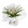 Bouquet bulle 11 tiges - Collection uni Blanc
