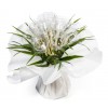 Bouquet bulle 11 tiges - Collection uni Blanc