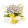 Bouquet bulle 7 tiges -  Les Nougats - BICOLORE 