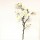Branche de Magnolia - 16 Fleurs Blanc / Vert