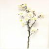 Branche de Magnolia - 16 Fleurs
