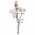 Branche de Magnolia - 16 Fleurs Blanc / rose