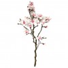 Branche de Magnolia - 16 Fleurs